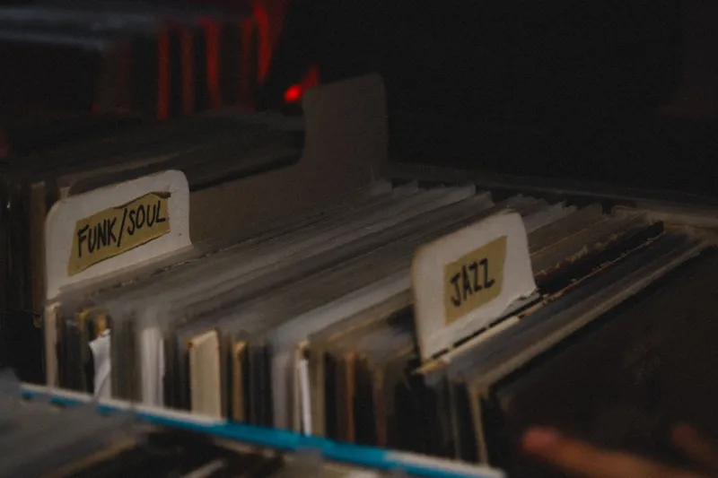 Digging in the Crates: The Soul Records That Gave Hip-Hop Its Heartbeat